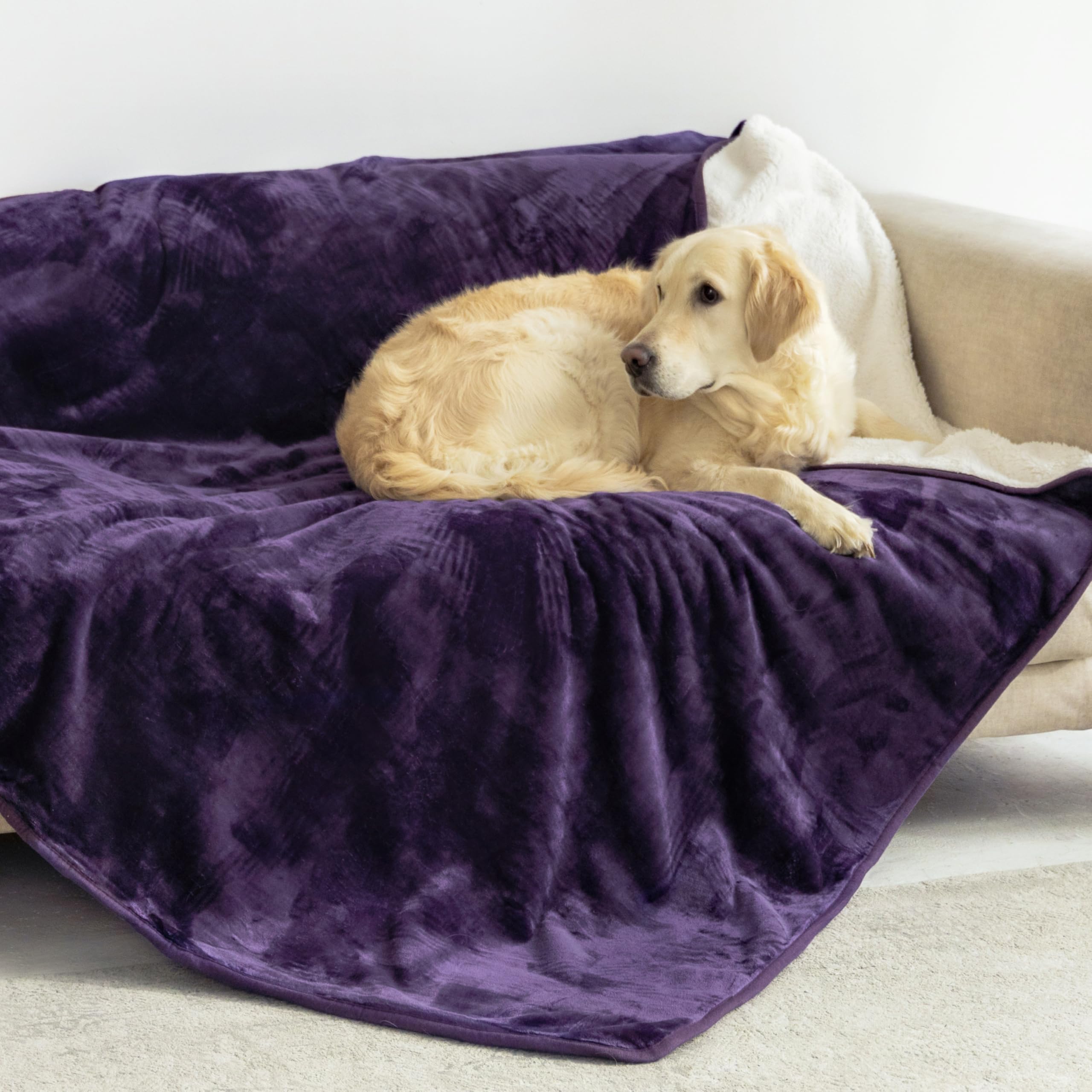 Dreamzie – Manta Impermeable Perro y Gato Suave – 127×152 cm – Morado | Protector para Sofá, Cama, Coche · 2 en 1 Reversible · Lavable · Mullida · Sherpa · Cómoda · Para Mascotas Medianas