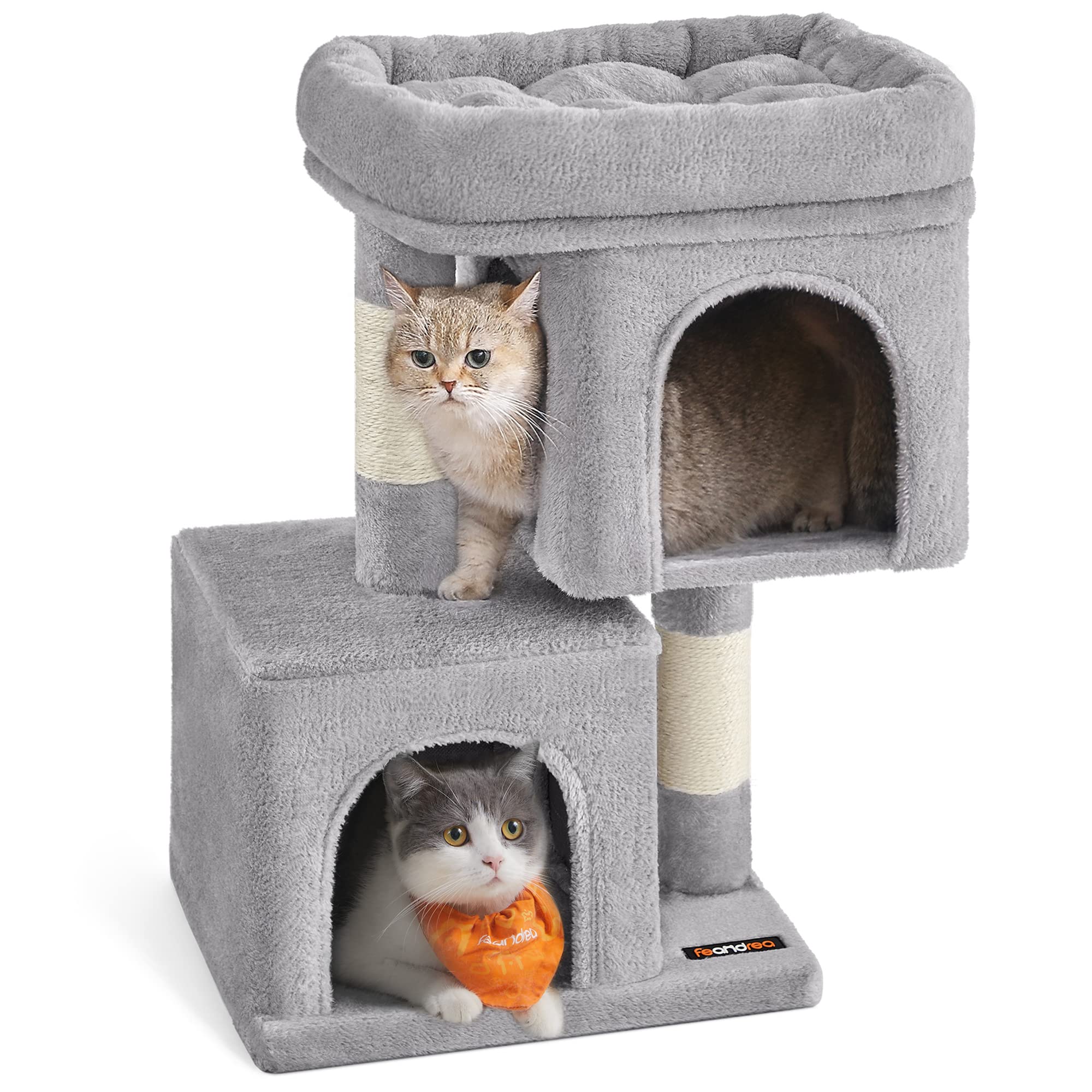 Feandrea Árbol Torre S para Gatos Grandes, 65 cm, 2 Cuevas, Rascador | Plataforma, hasta 3 kg, Gris Paloma, Colección CLAWFY PCT611W01