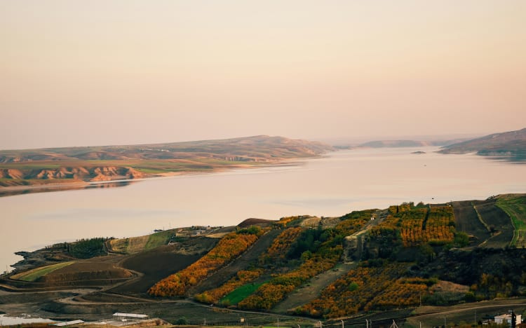 Resources That Helped Me In Coding and Life