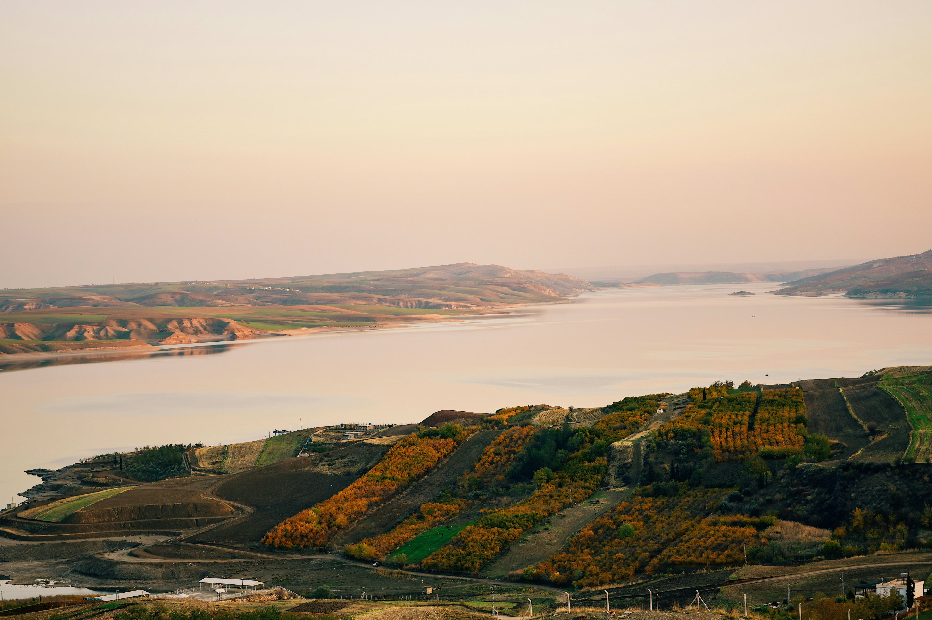 Resources That Helped Me In Coding and Life