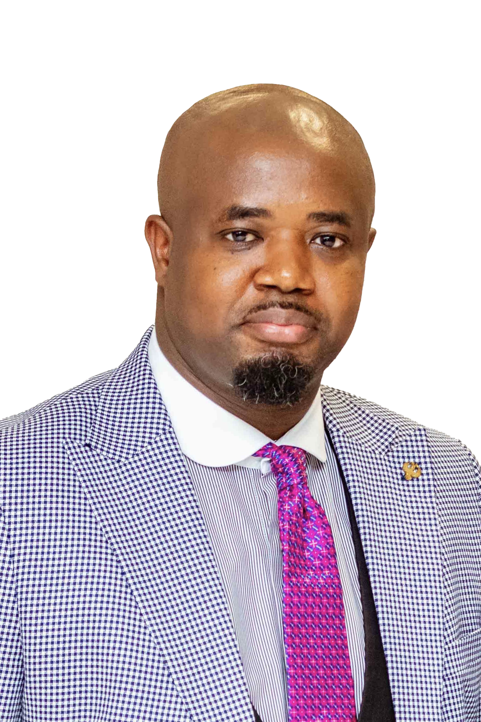 Mr. Godwin Tamakloe Esq.