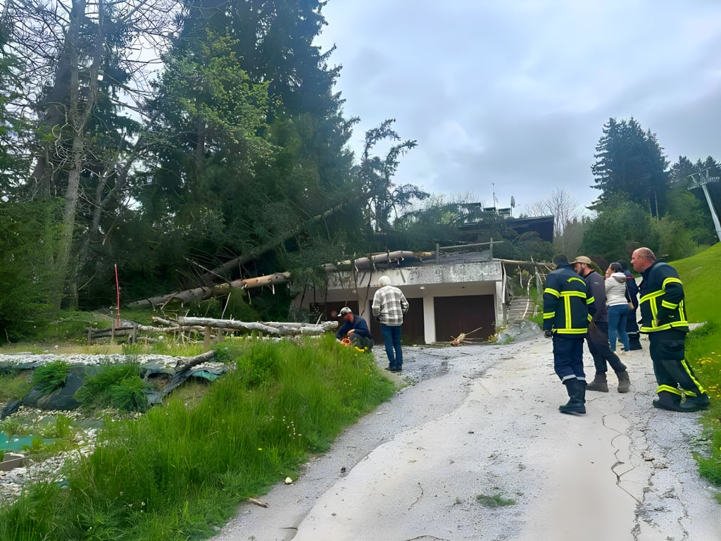 Intervention paysagisme d'ugence