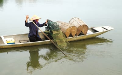 Bên đầm