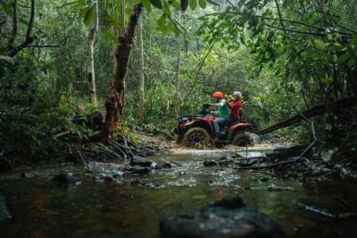 Tour mô tô địa hình khám phá rừng lim sẽ rất hấp dẫn đối với du khách.