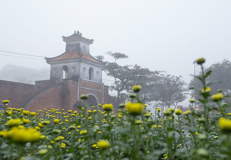 Sương Xuân