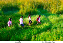 Băng đồng