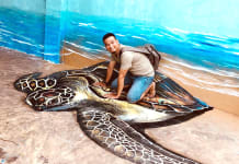 Cung đường bích họa Cảnh Dương (Quảng Trạch) là tâm nguyện của Trần Đình Luân, một người con Quảng Bình muốn làm đẹp cho quê hương.