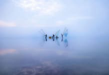 Tác phẩm “Biển vô cực”