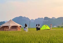 Trải nghiệm cuộc sống thiên nhiên yên bình giữa cánh đồng lúa.