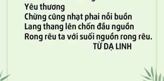 Rong rêu nỗi buồn