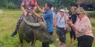 Du khách quốc tế hào hứng trải nghiệm du lịch nông nghiệp.