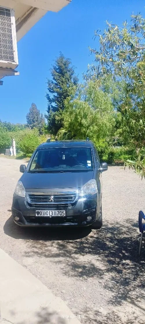 Peugeot Partner