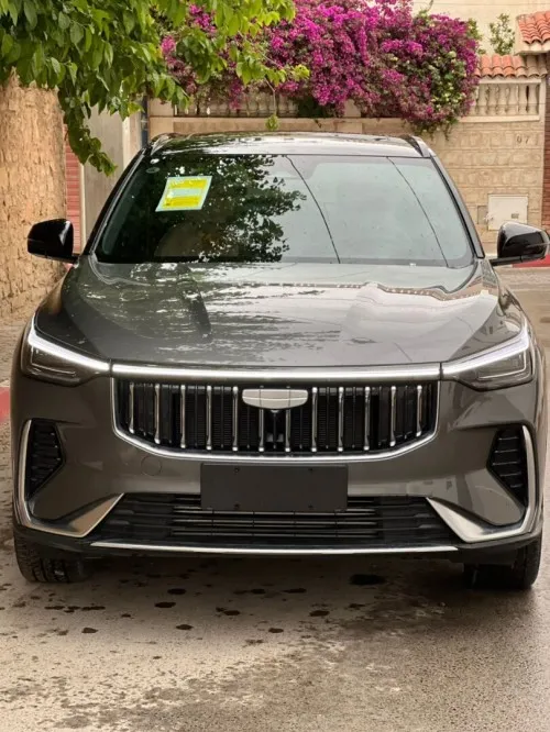 Geely Cityray