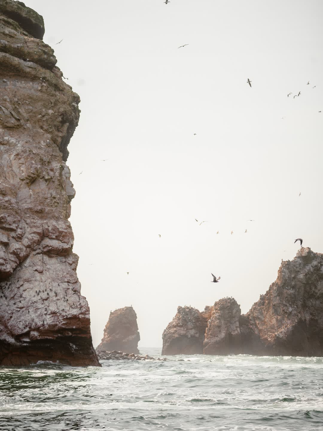 Paracas & Ica