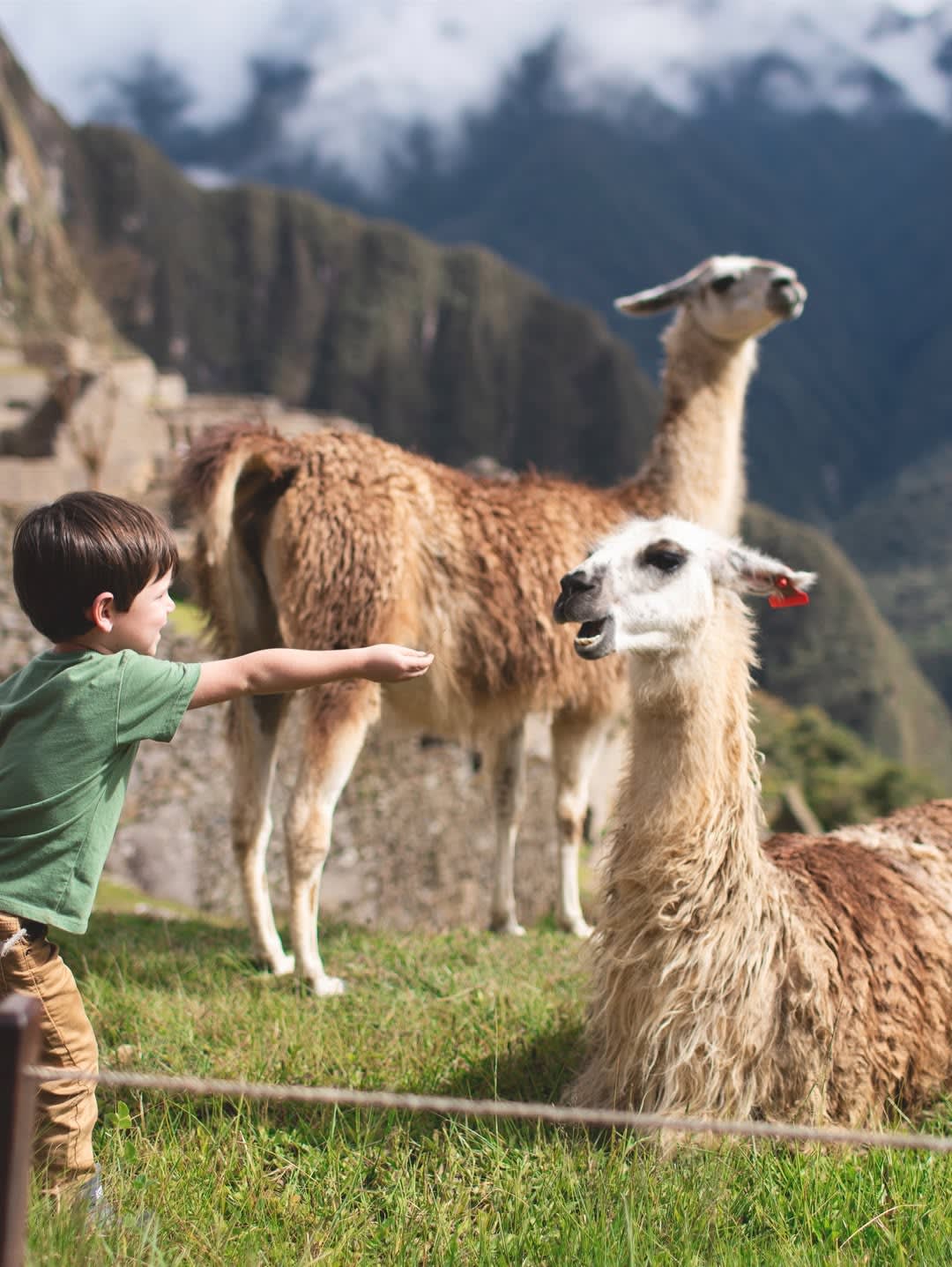 Saludando a las llamas