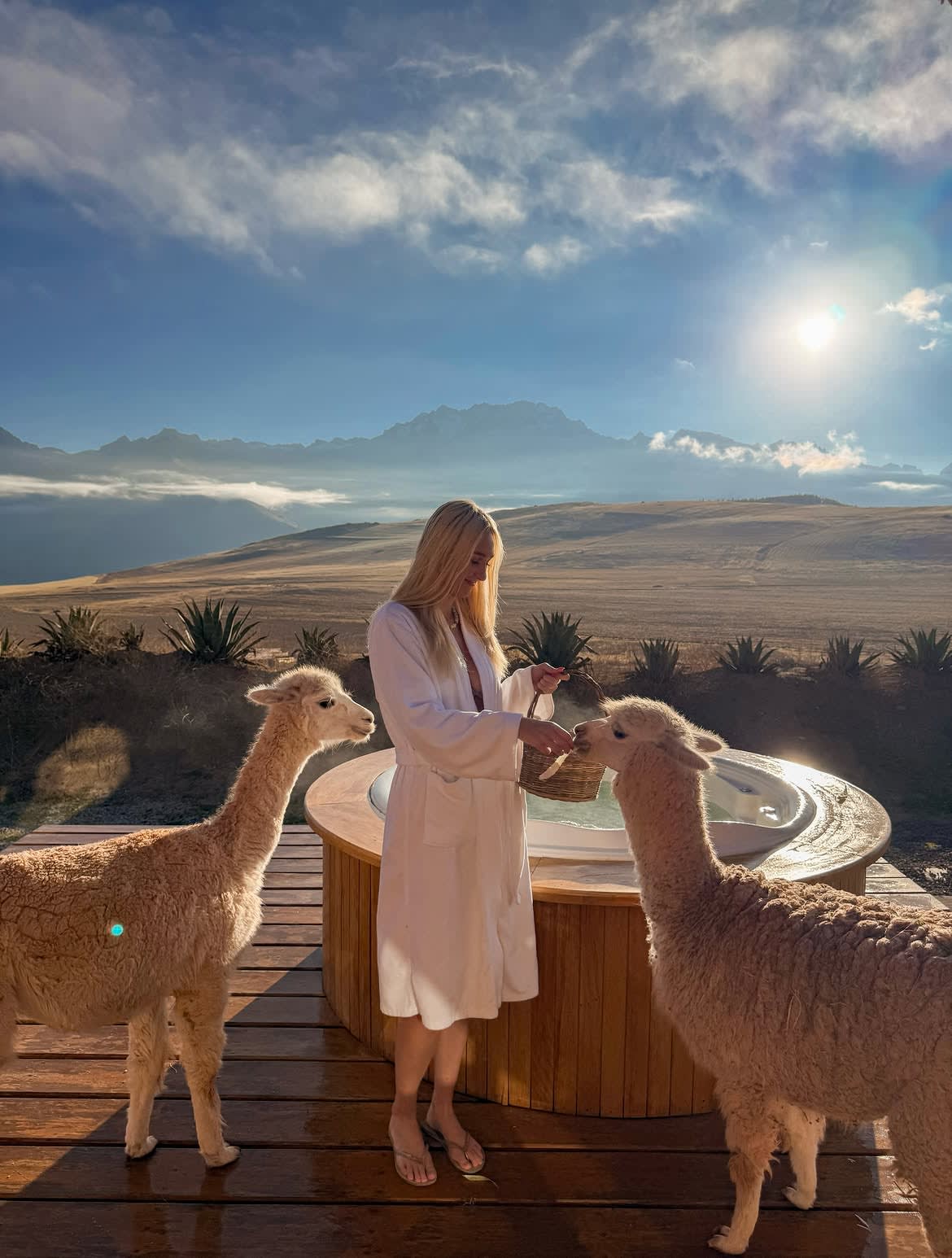 Zwischen Lamas erwachen in der Pampa von Maras