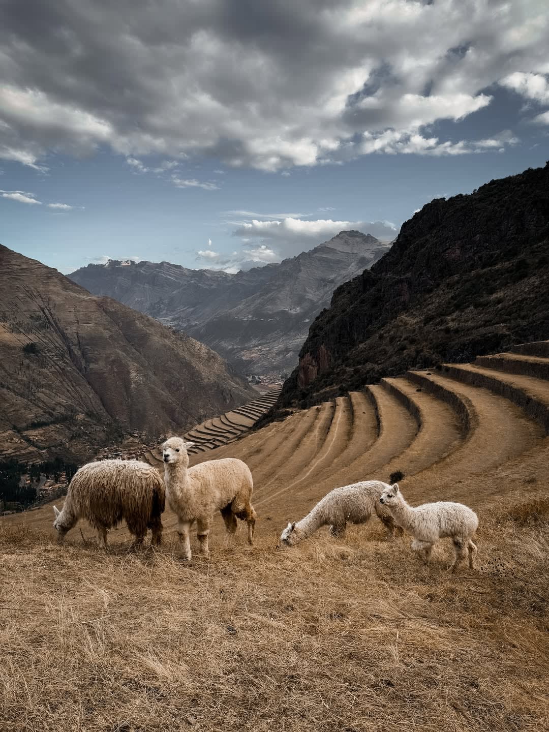 Cusco & Sacred Valley panoramic