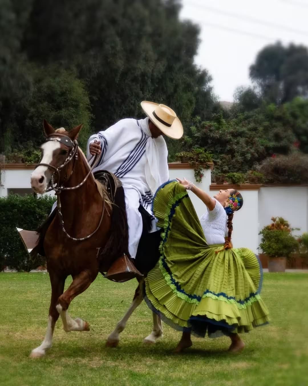 The Elegance of the Paso Horse at a Private Hacienda
