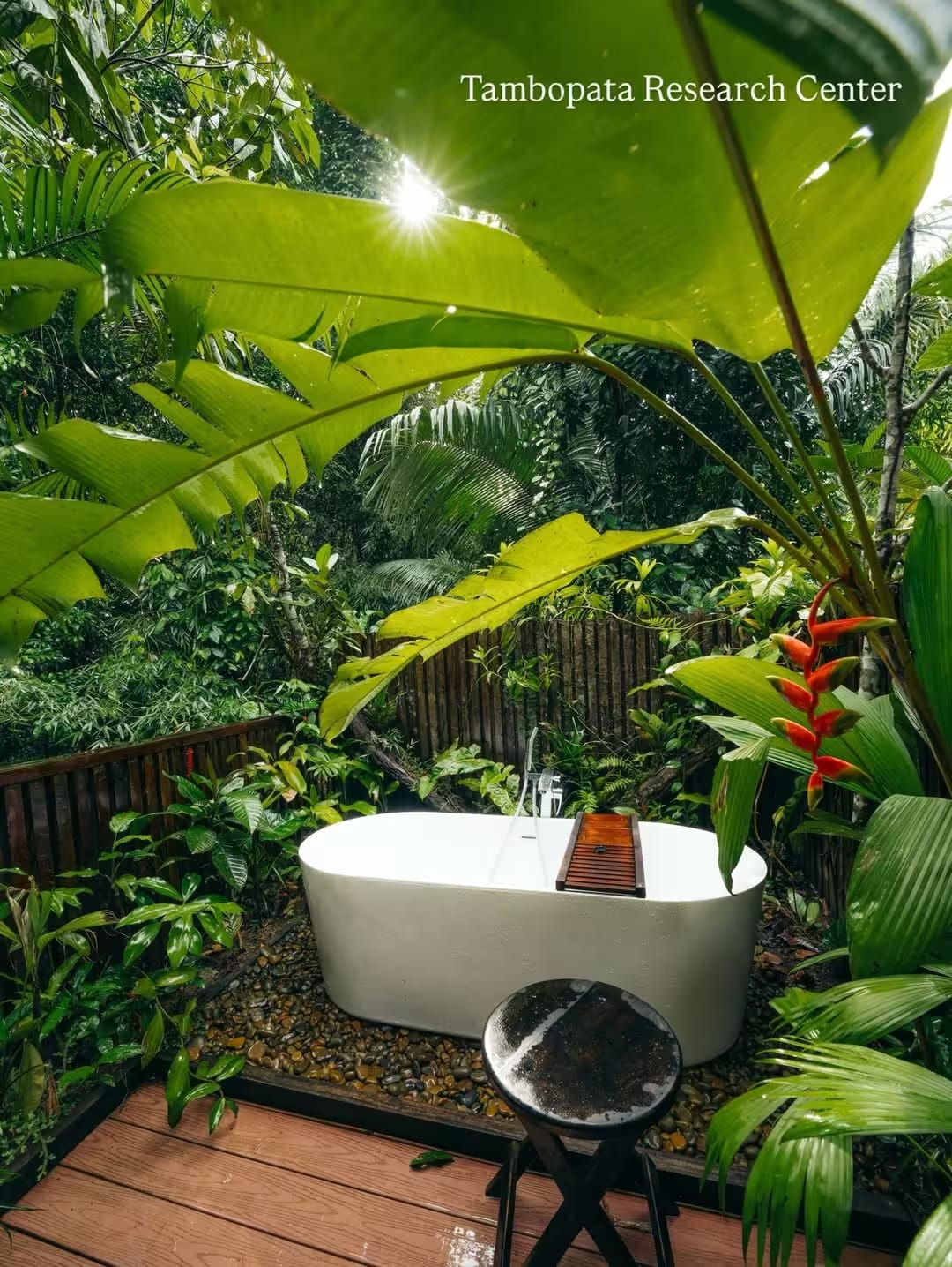 Tambopata: Guided Exploration