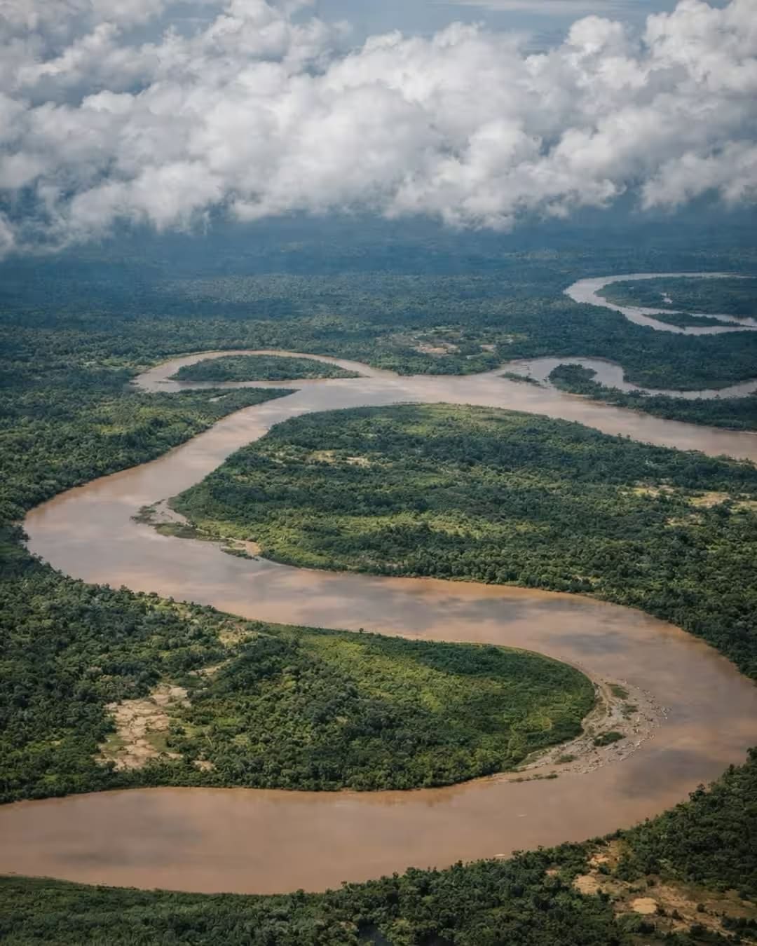 From Tambopata depth rainforest to Andean altitude 5