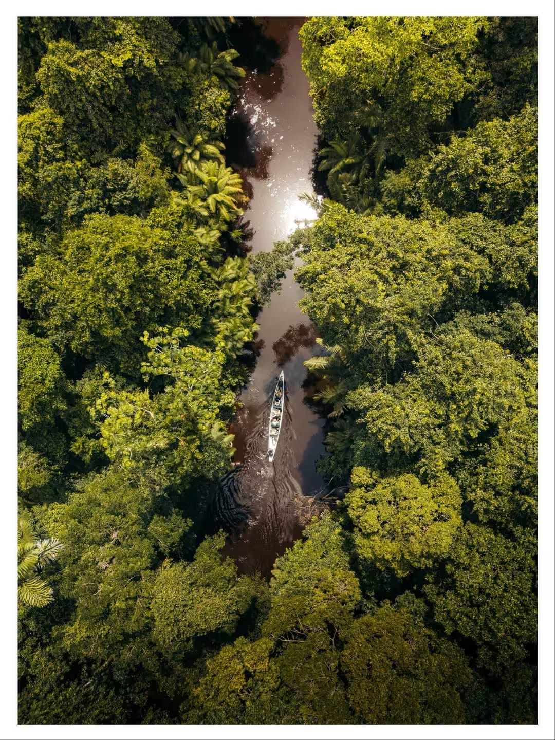 From Tambopata depth rainforest to Andean altitude