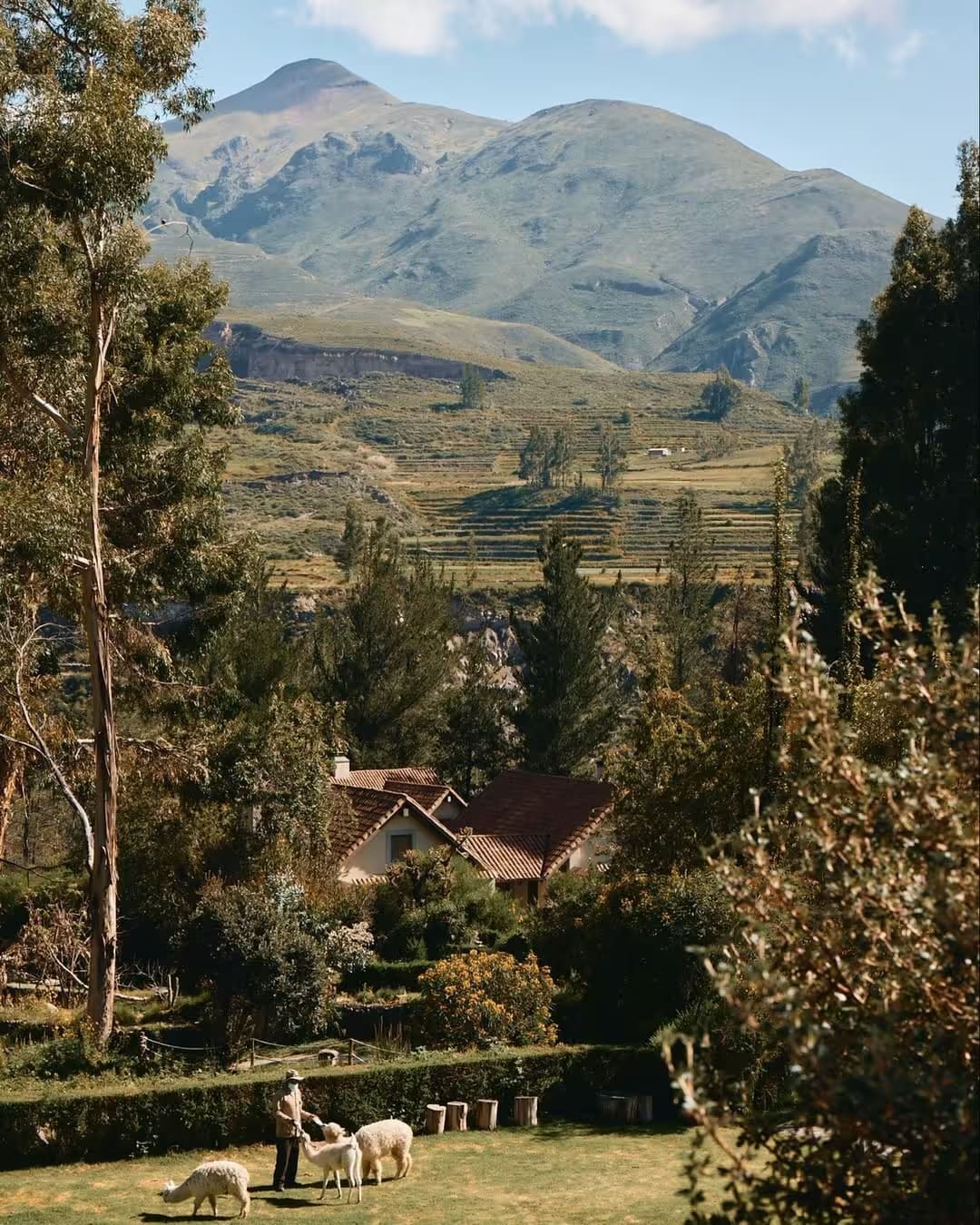 Colca Valley Dramatic Landscapes