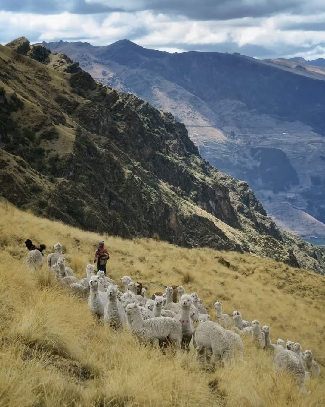 Soroche: How to Prevent and Treat Altitude Sickness
