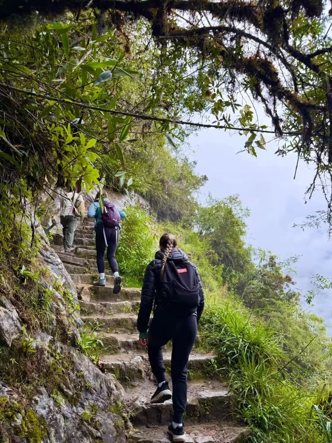 The Trail Begins: 12km into the Cloud Forest