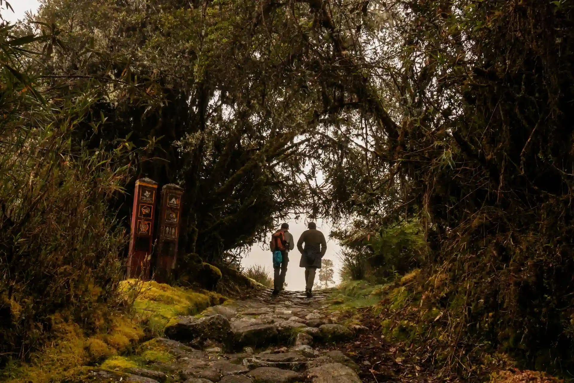 Adventure & Trekking