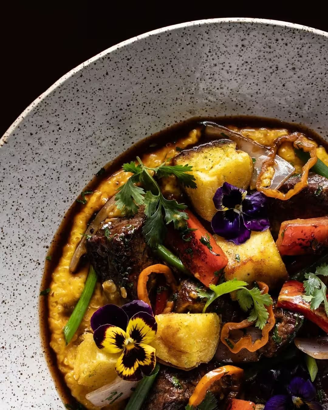 Foodie & Gastronomy
