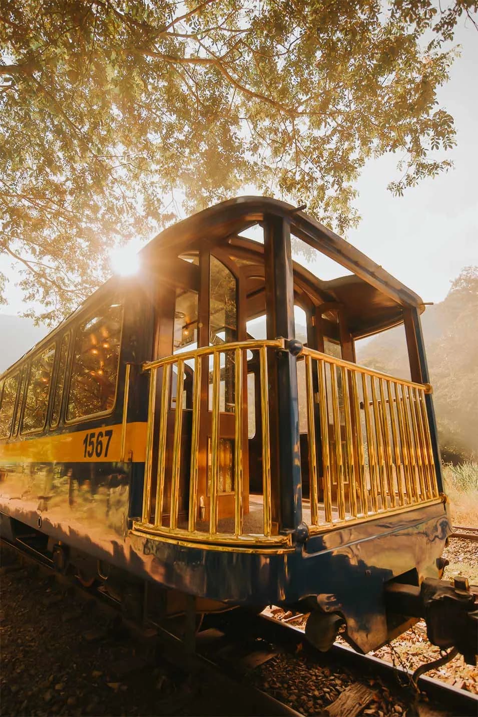 PeruRail Vistadome Observatory — 7