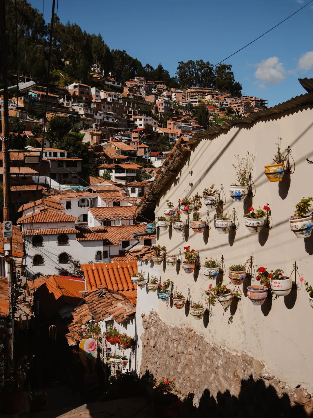 Cusco Markets: San Pedro and Private Experiences with Producers