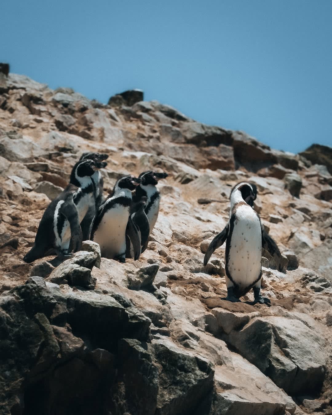Paracas & Ica — 2