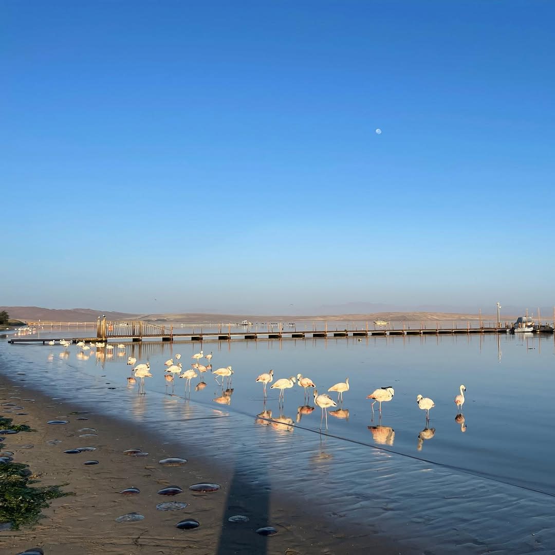 Paracas & Ica panoramic