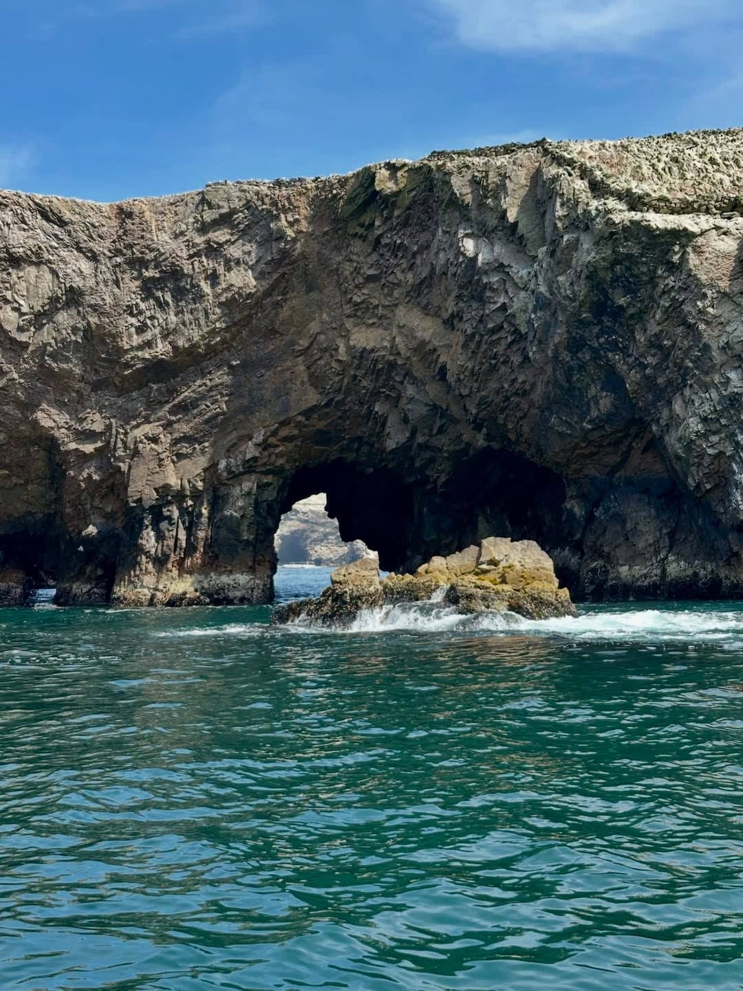 The Desert That Faces the Sea