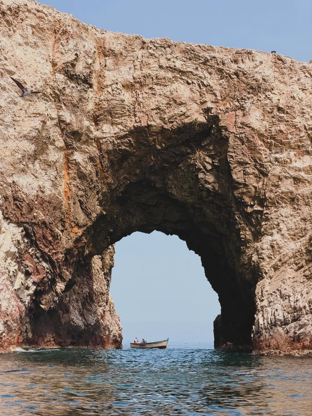 Paracas and the Ballestas Islands: The Peruvian Galápagos