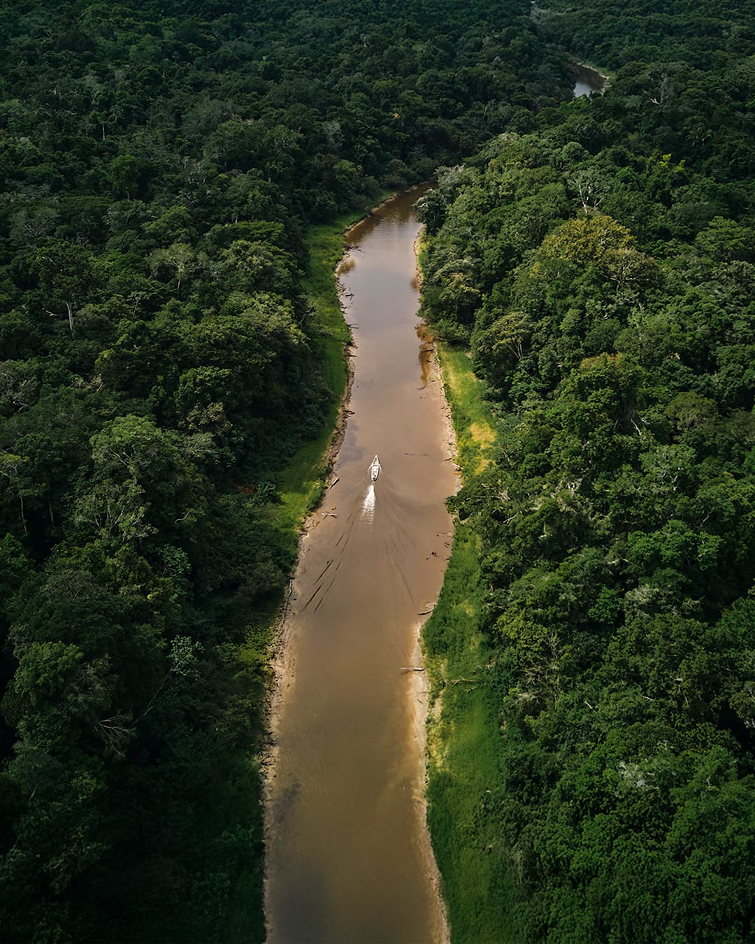 Tambopata (Puerto Maldonado)