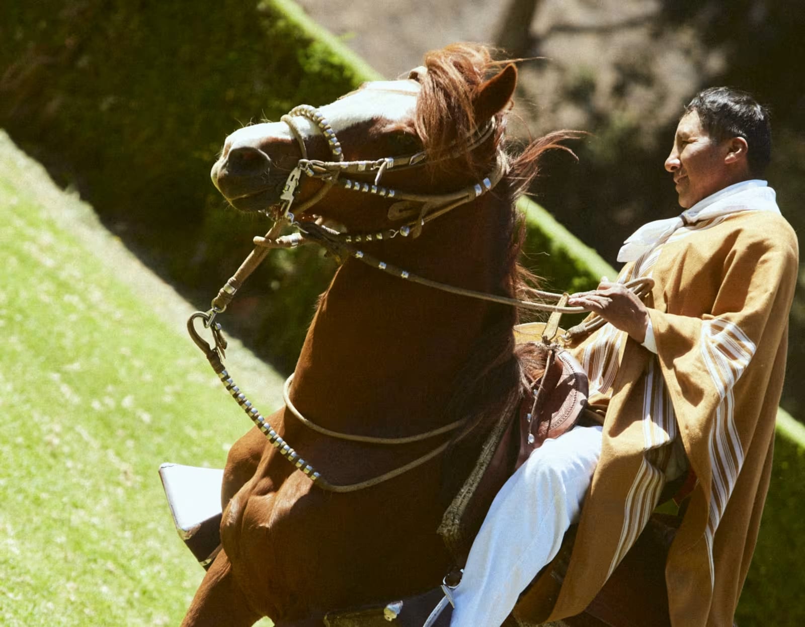 Living History of the Andes 9
