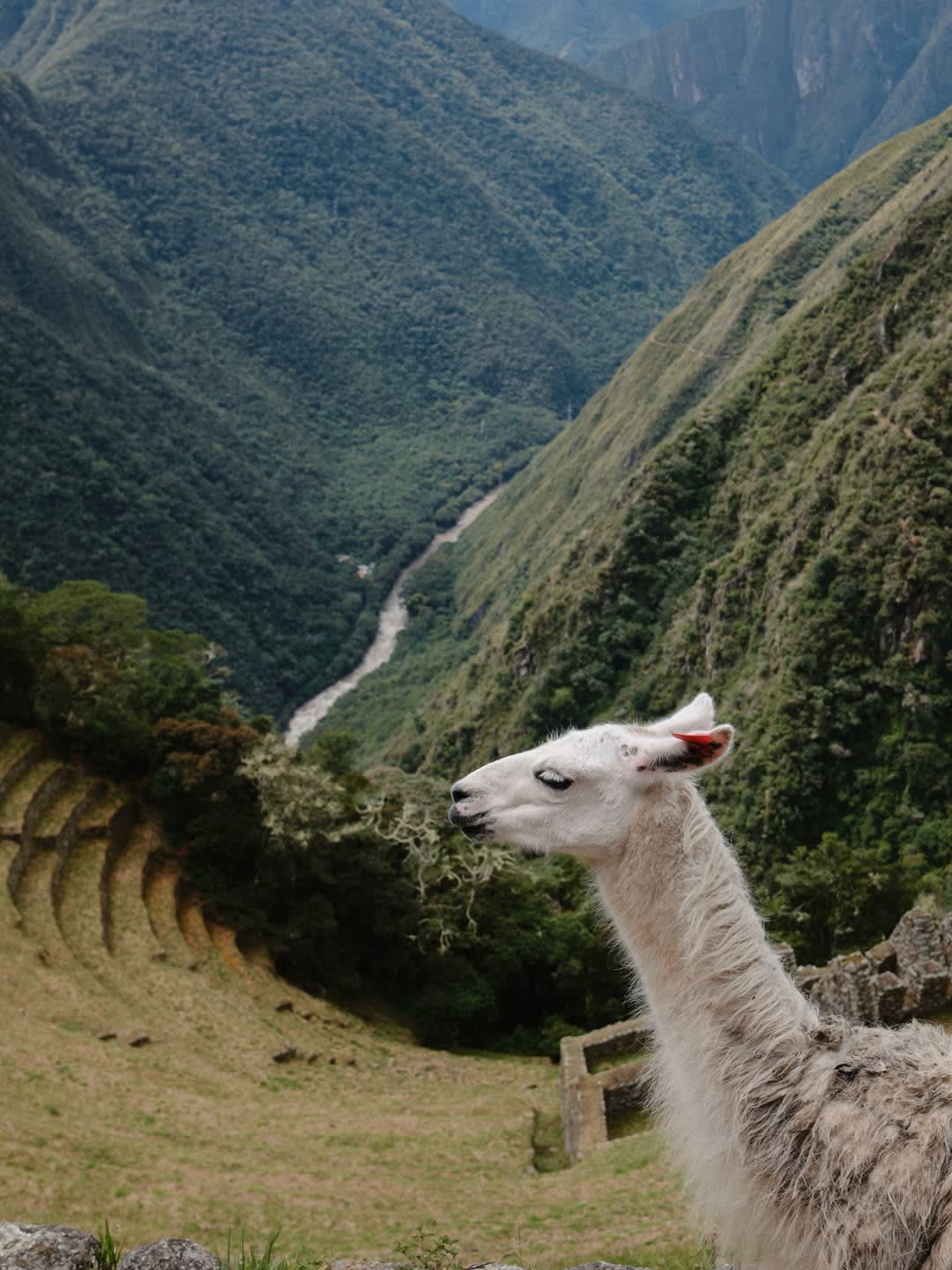 The Classic Inca Trail 9