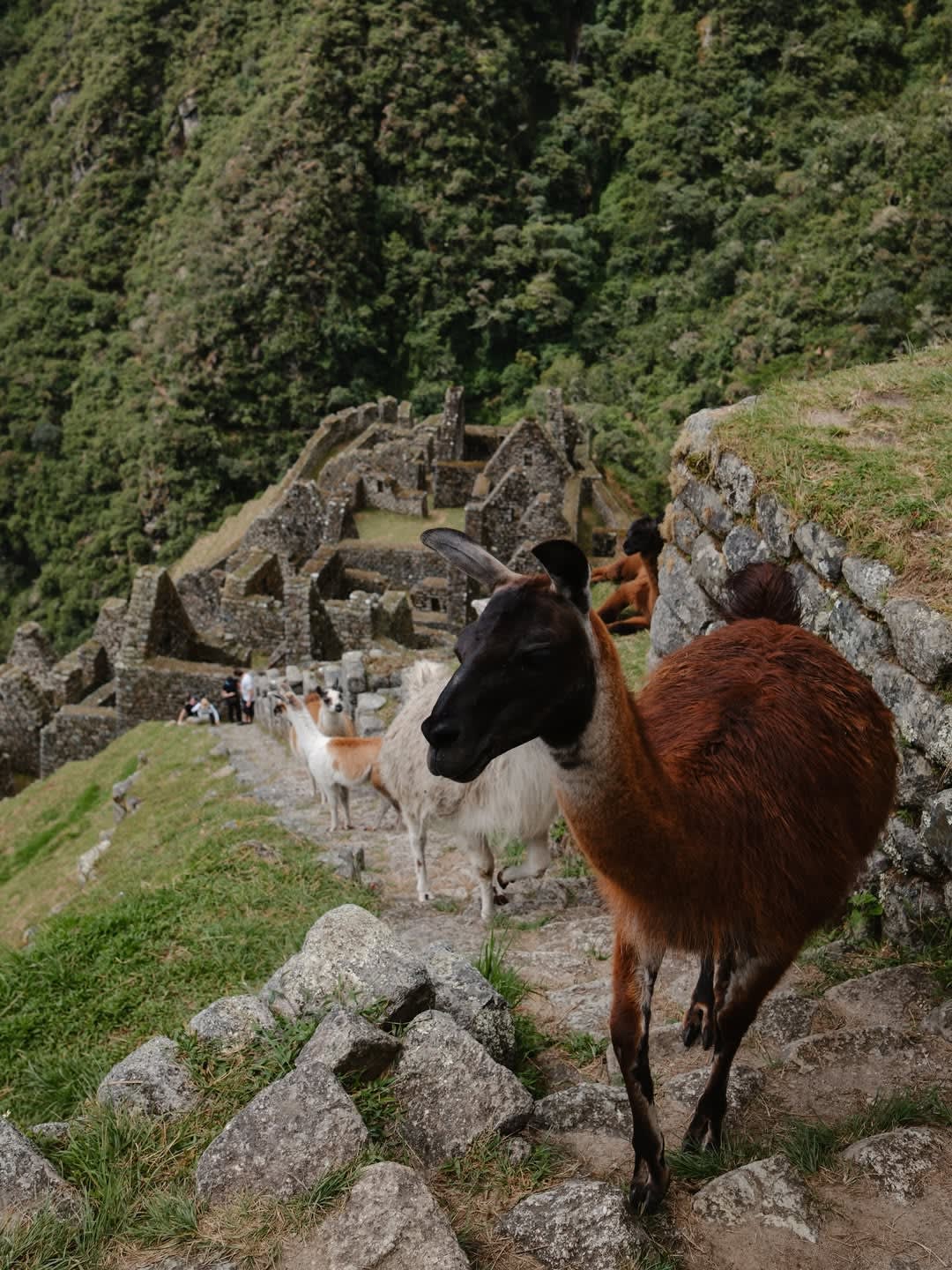 The Classic Inca Trail — 9