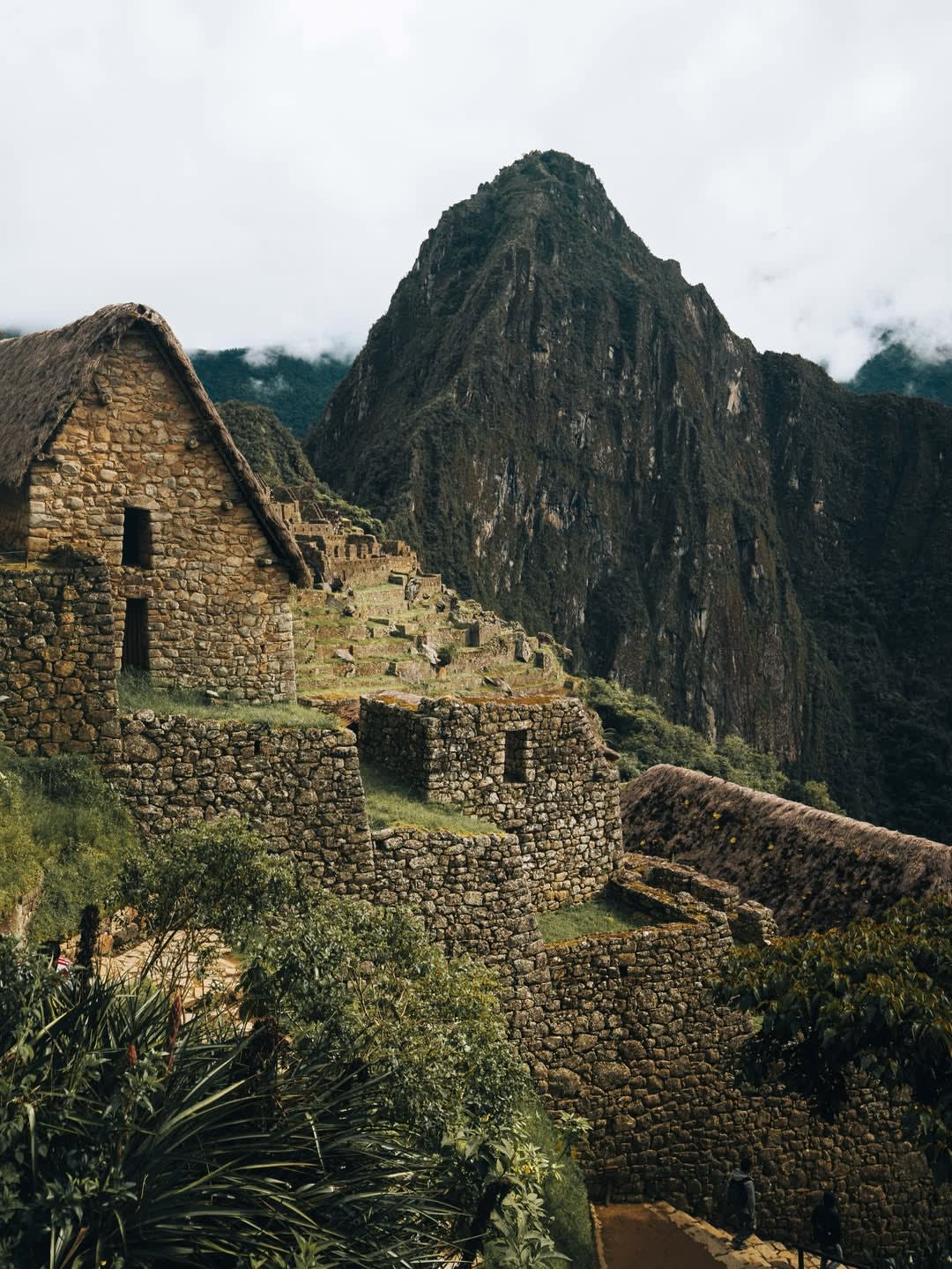 Salkantay Luxury Expedition 1