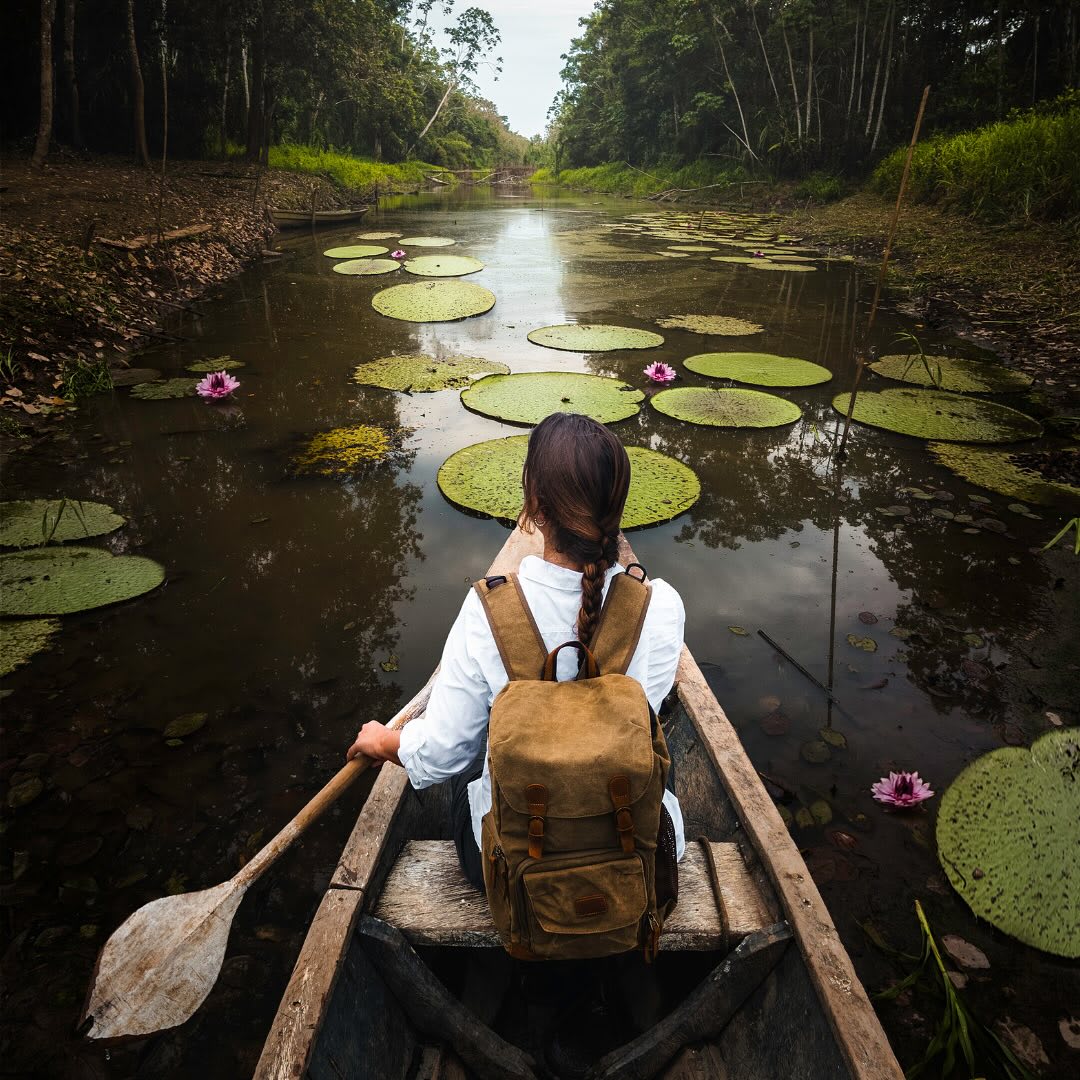 Jungle & Amazon — 4