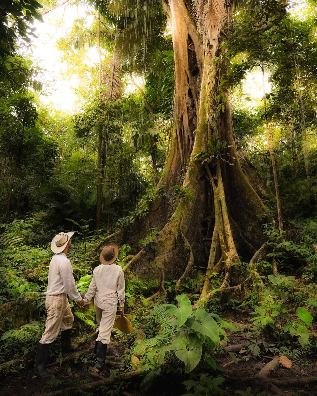 What Wildlife You Can Actually See in the Peruvian Amazon