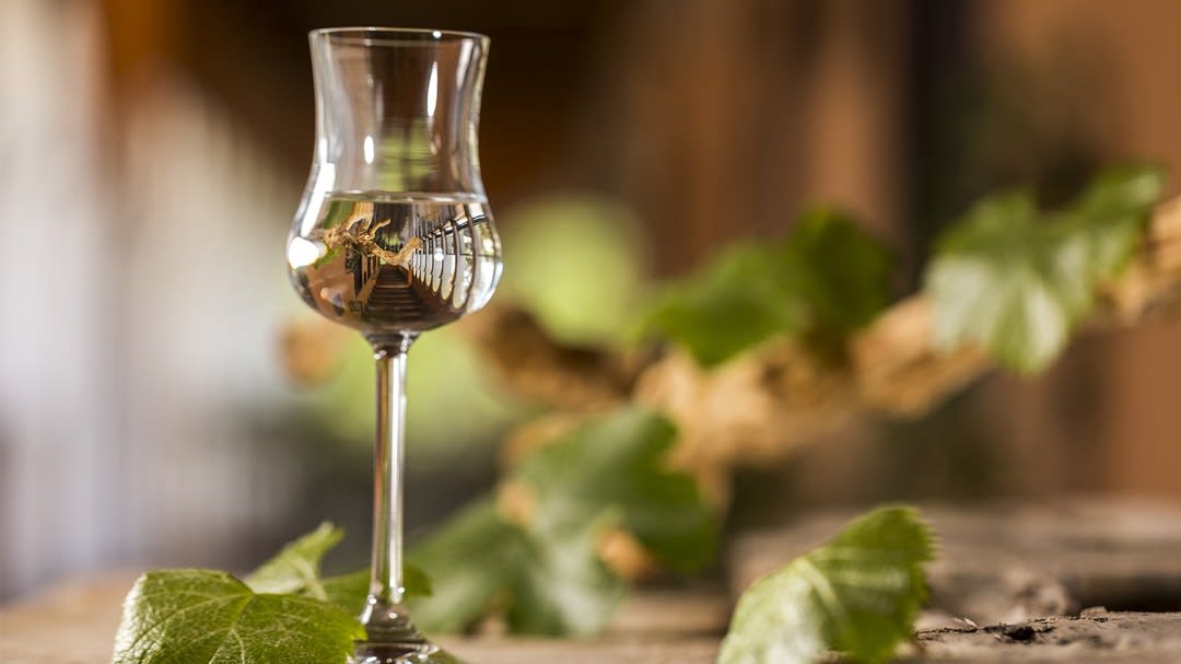 Pisco Sour and Pisco Tasting: Where to Drink the Best in Lima
