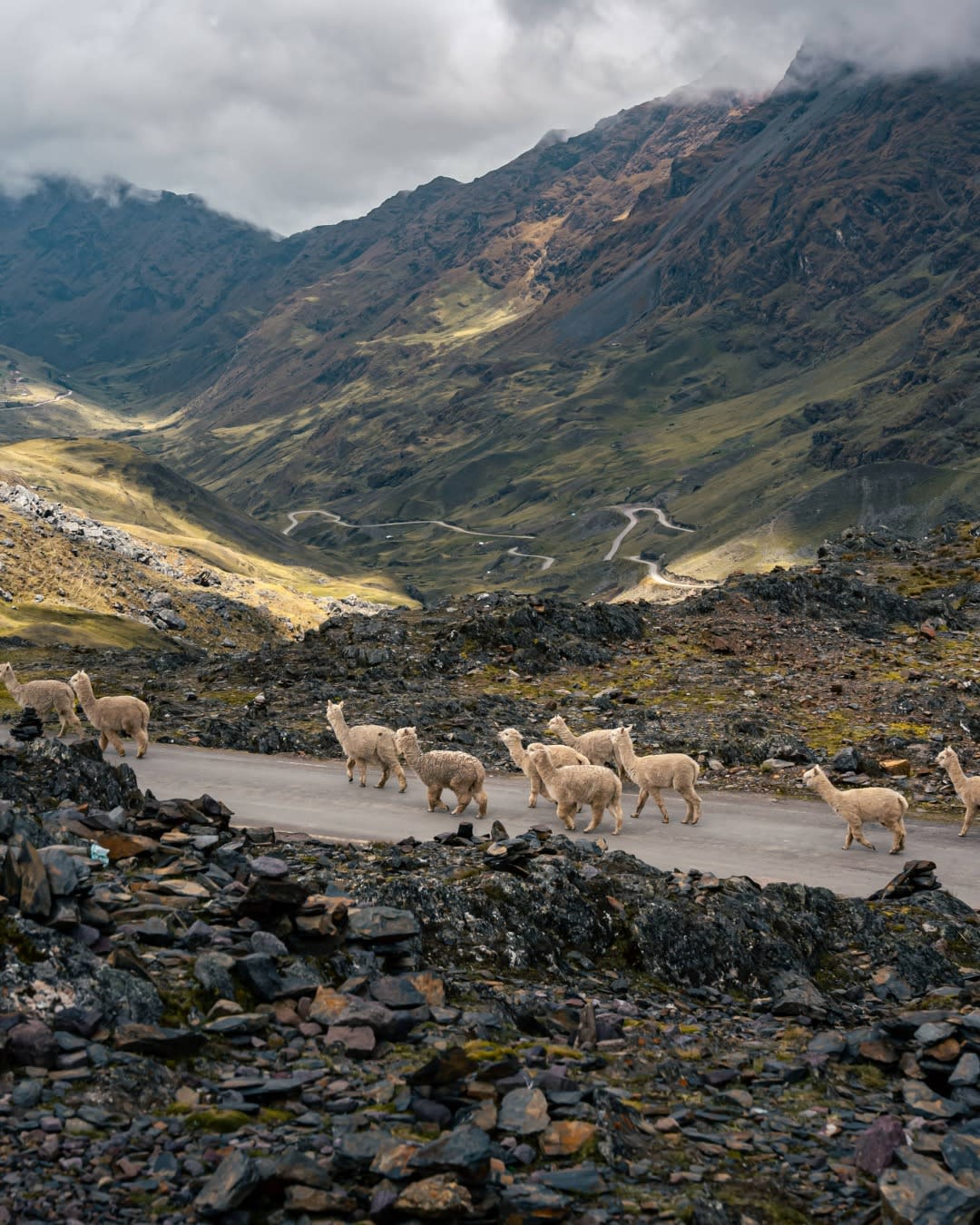 The Lares Trek to Machu Picchu — 2