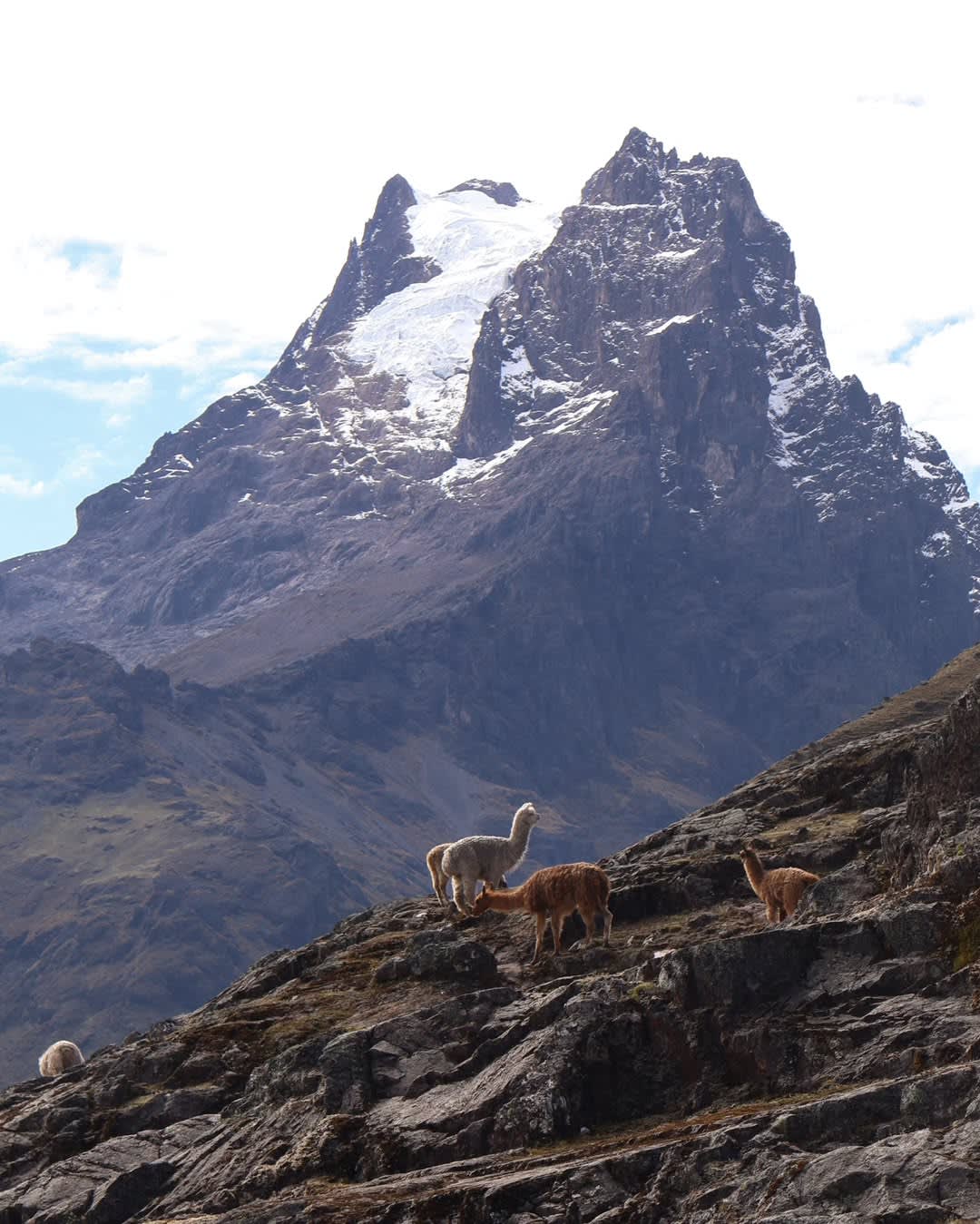 The Lares Trek to Machu Picchu — 7