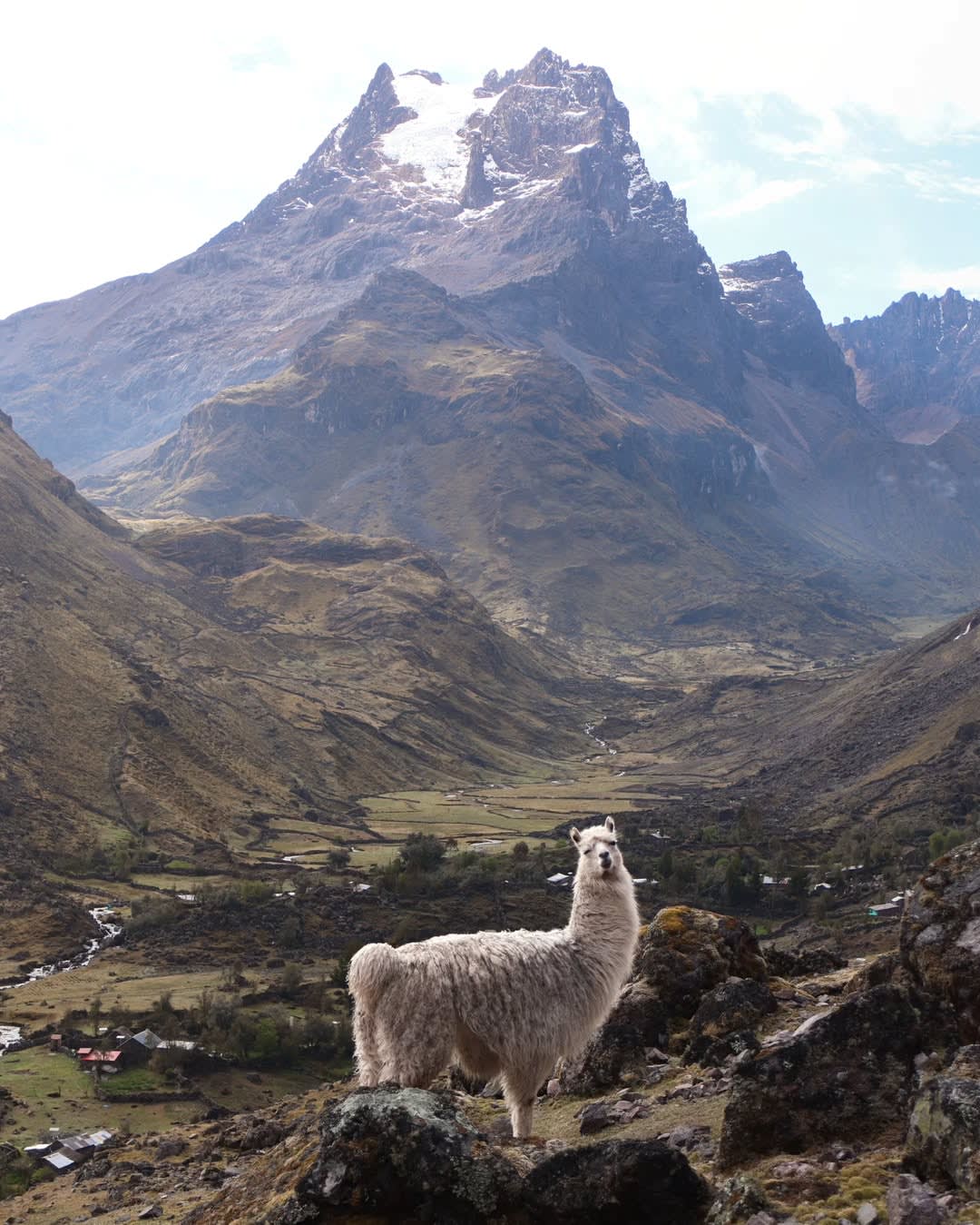 The Lares Trek to Machu Picchu — 5