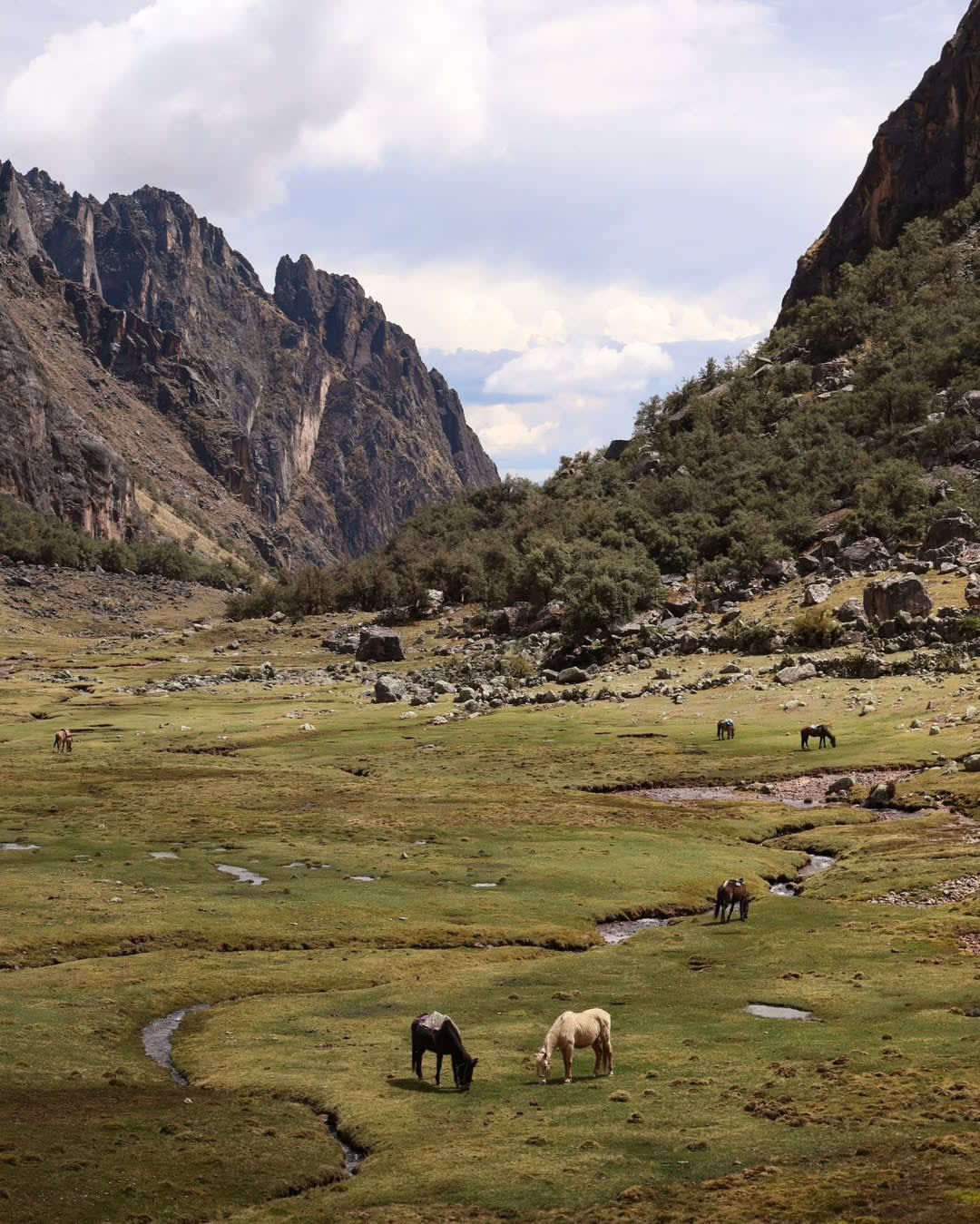The Lares Trek to Machu Picchu — 6