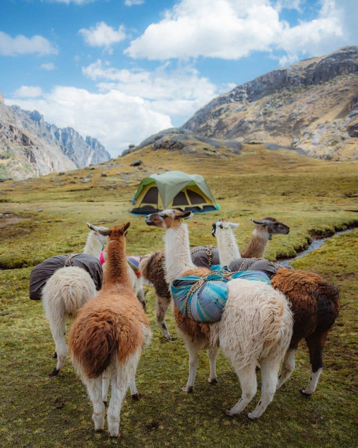 The Lares Trek to Machu Picchu — 10