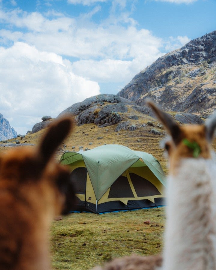 The Lares Trek to Machu Picchu — 11